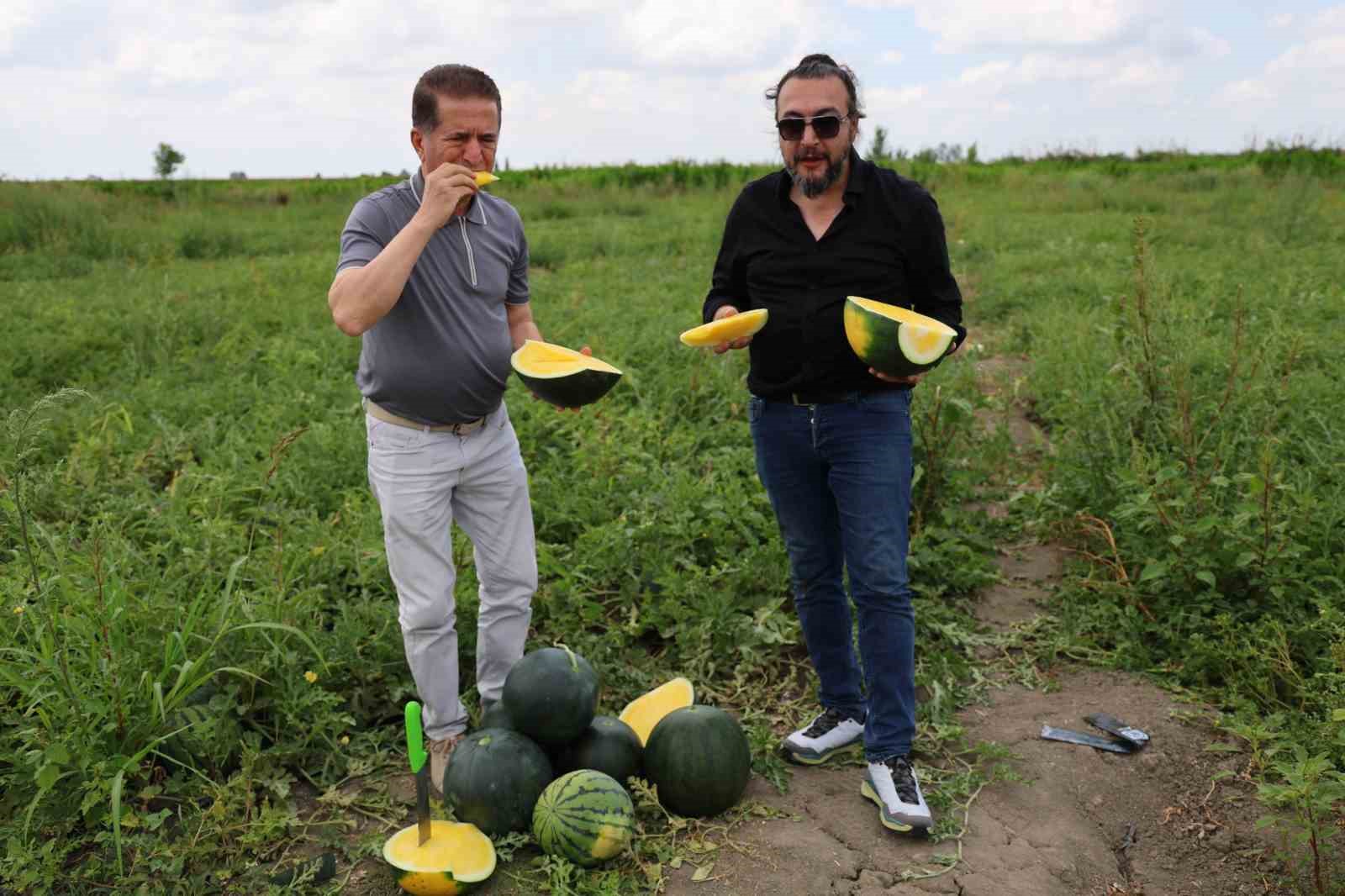 Bu karpuzu görenler hayrete düşüyor: kabuğu yeşil, içi sarı