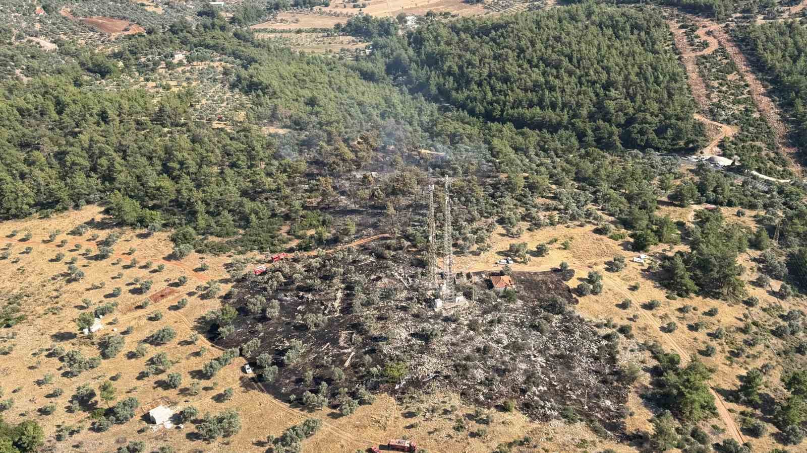 Milas’ta çıkan zirai yangın kısa sürede kontrol altına alındı