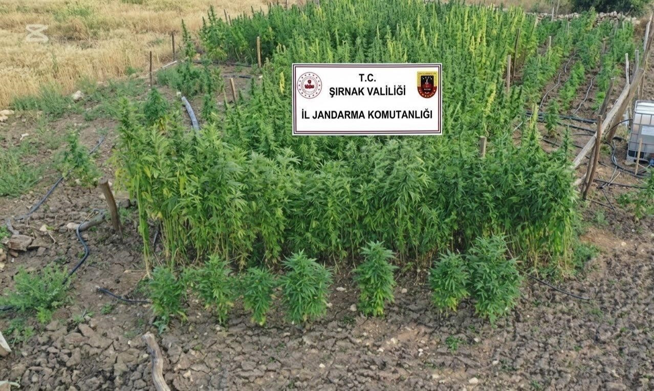Şırnak’ta jandarmadan asayiş ve kaçakçılık operasyonu: 94 şüpheli hakkında adli işlem yapıldı