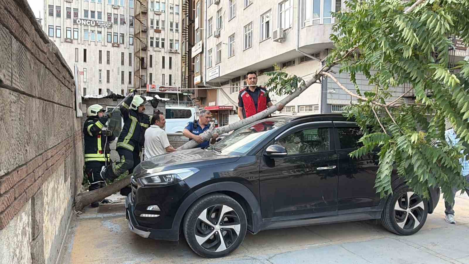 Kökü duvarın altında olan ağaç aracın üzerine devrildi