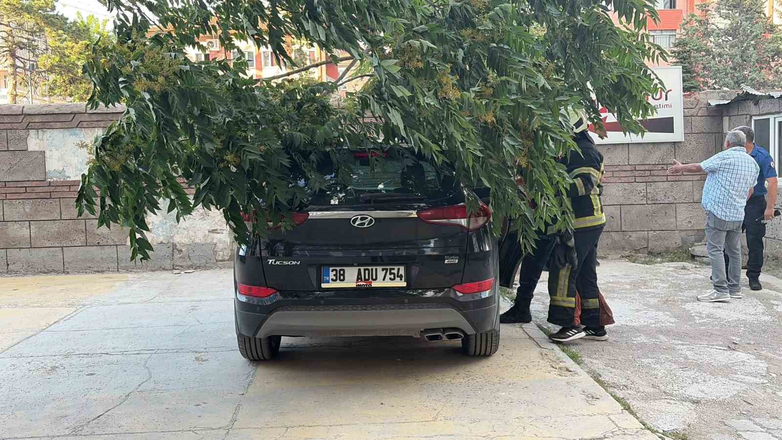 Kökü duvarın altında olan ağaç aracın üzerine devrildi