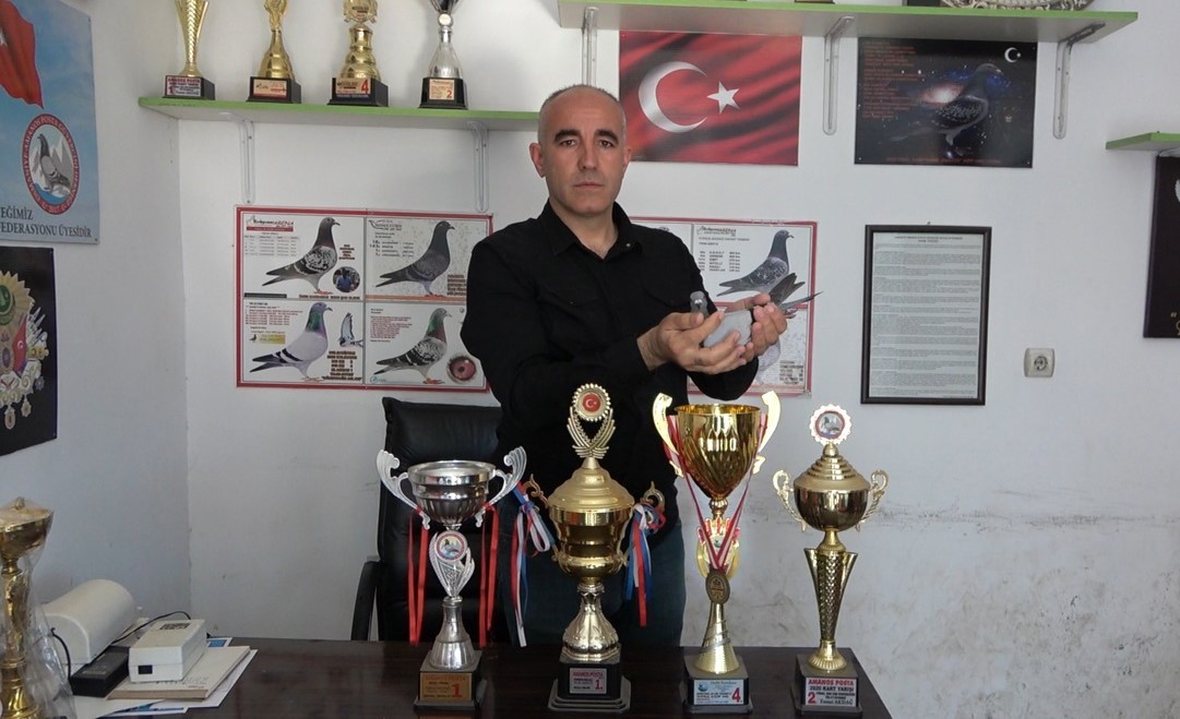 Ermenistan sınırından bırakılan güvercin bin kilometre yolu bir günde katederek evine döndü