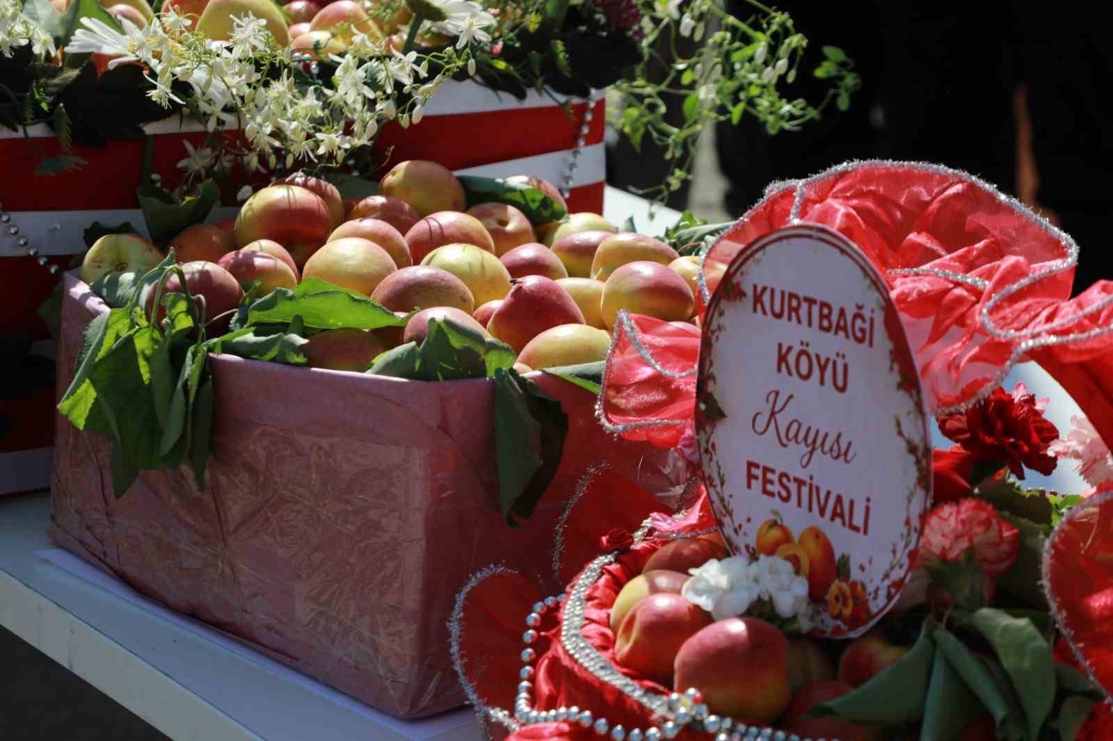 Geleneksel Kurtbağı kayısı festivali yoğun katılımla gerçekleşti