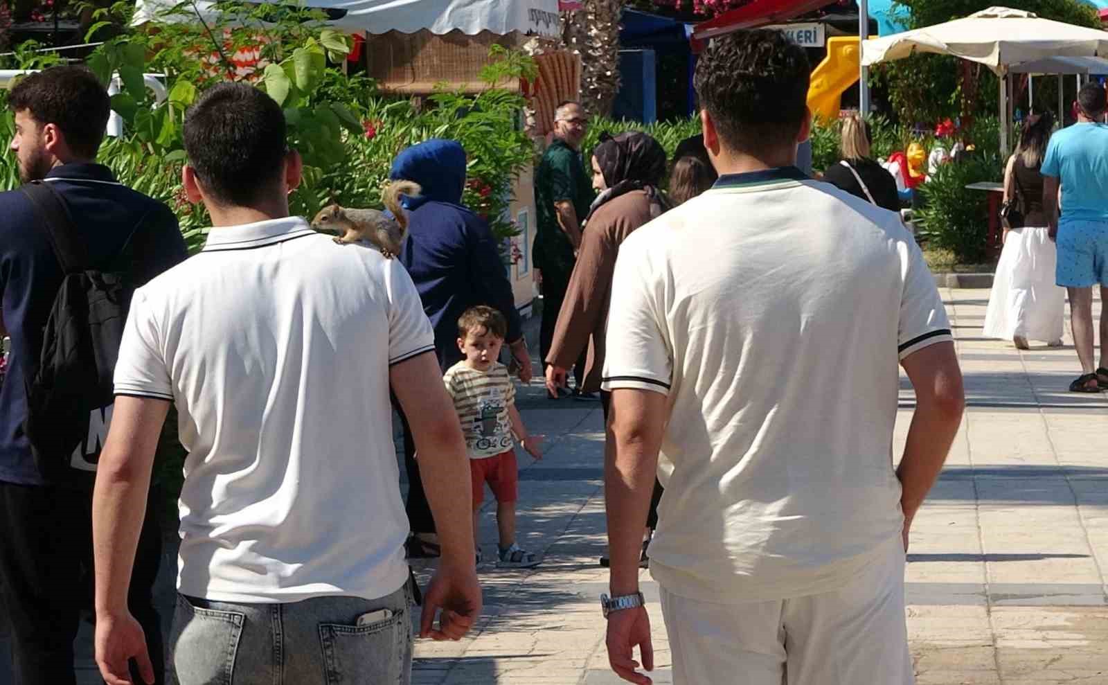 Sincap tatilde: Yaralı buldu, iyileştirdi, Kızkalesi’nde gezintiye çıkardı