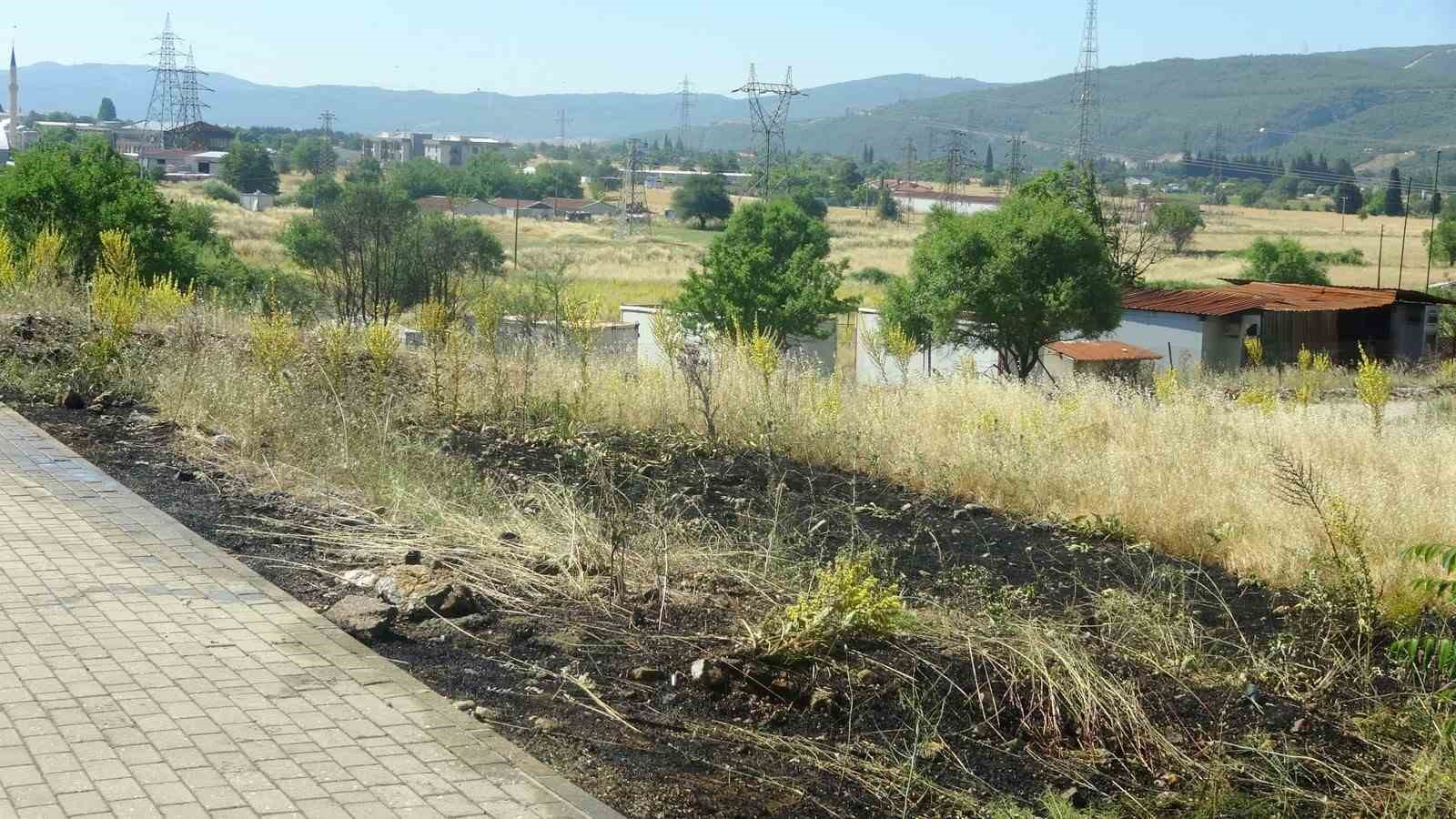 Menteşe’de yol kenarına atılan sigara izmariti yangın çıkardı