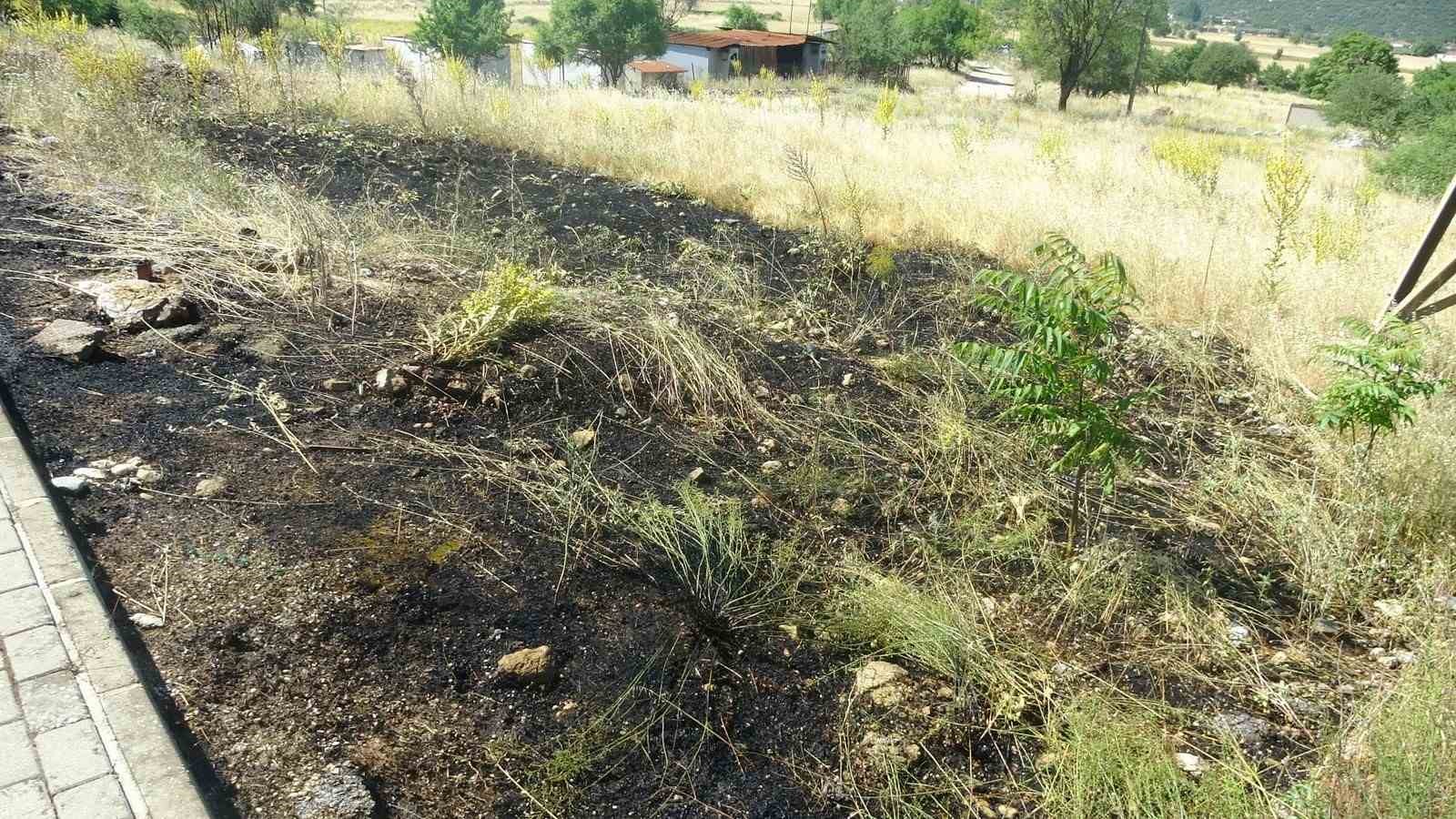 Menteşe’de yol kenarına atılan sigara izmariti yangın çıkardı