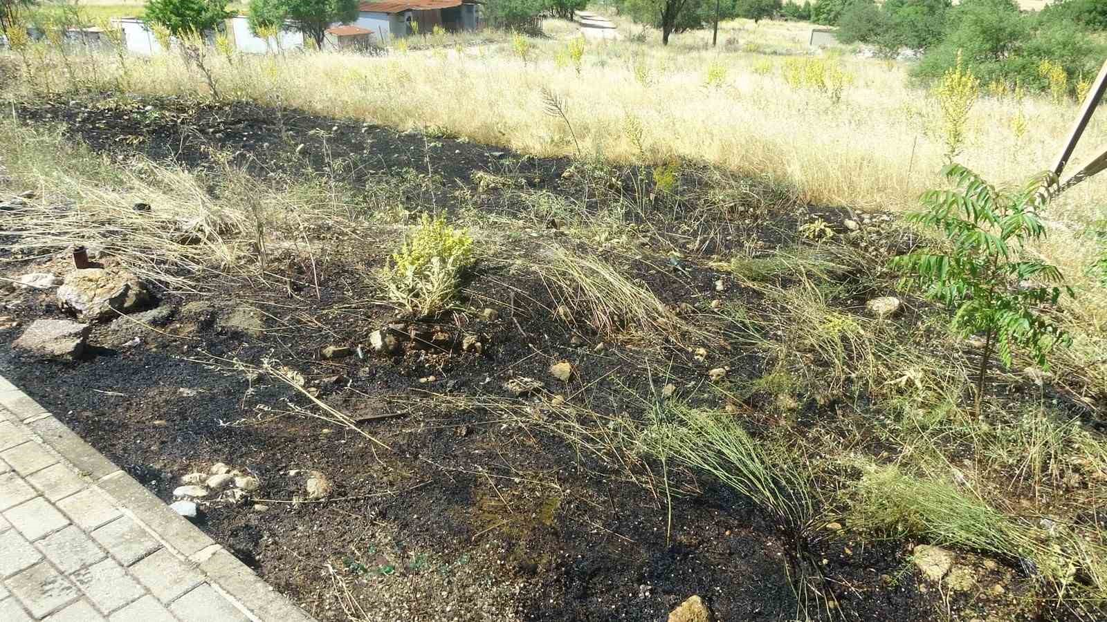 Menteşe’de yol kenarına atılan sigara izmariti yangın çıkardı