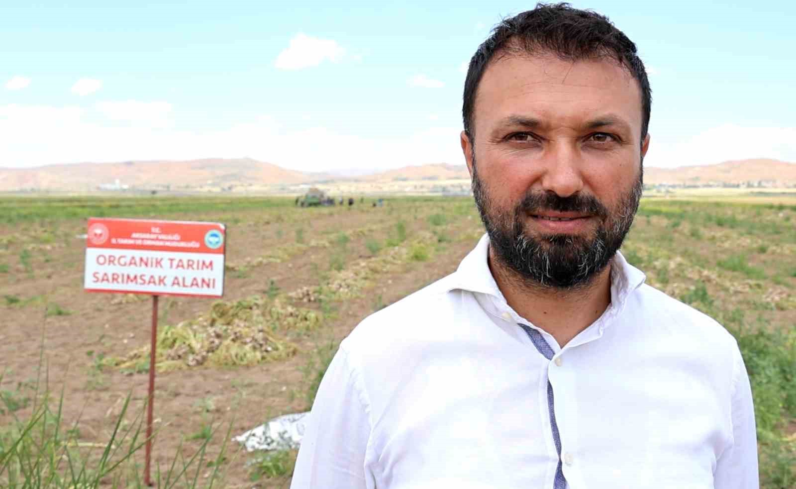Aksaray’ın ata tohumundan yetiştirilen organik sarımsakların hasadı başladı