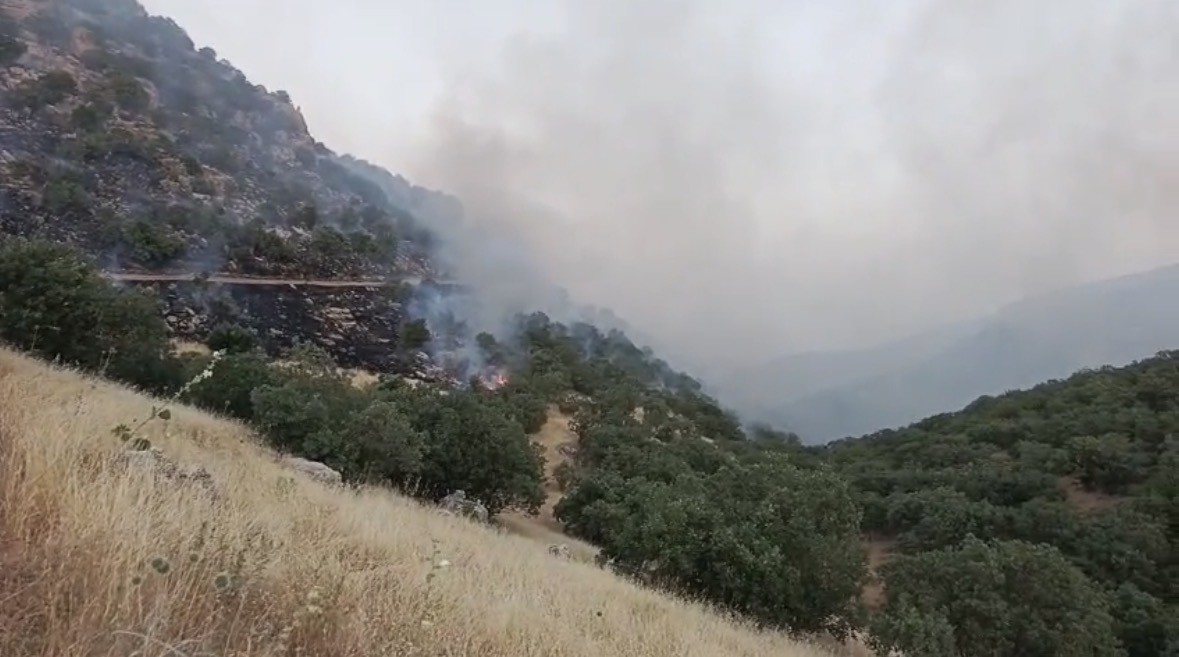 Mardin’deki örtü yangınları kontrol altına alındı