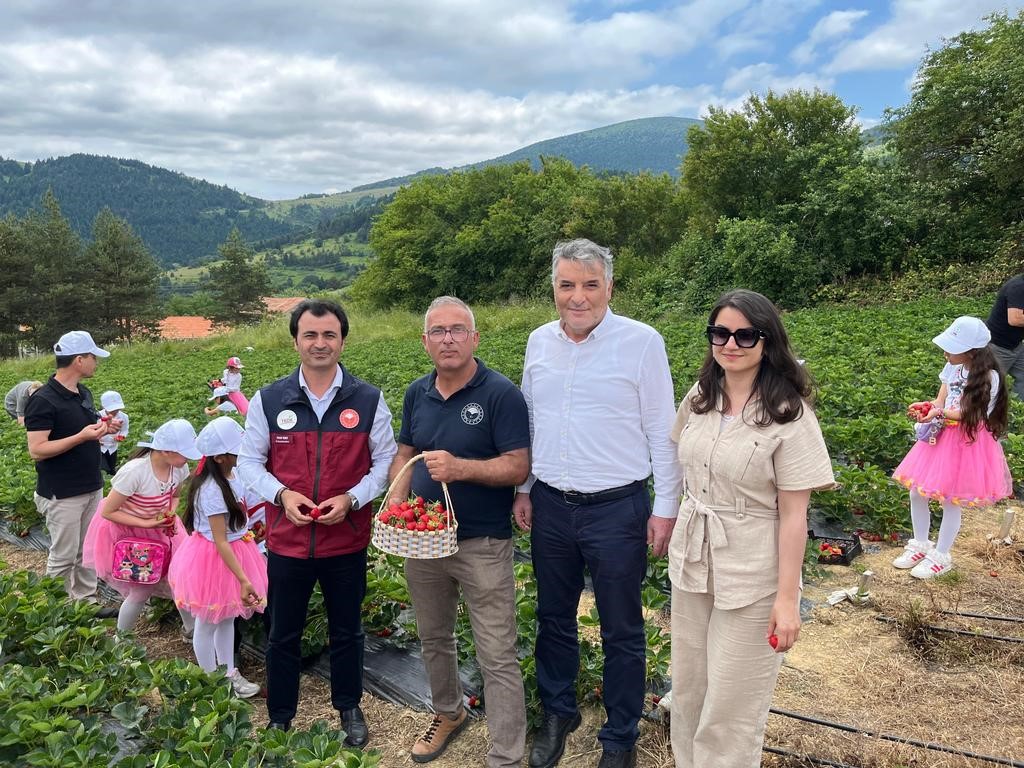 Yayla çileği aromasıyla öne çıkıyor