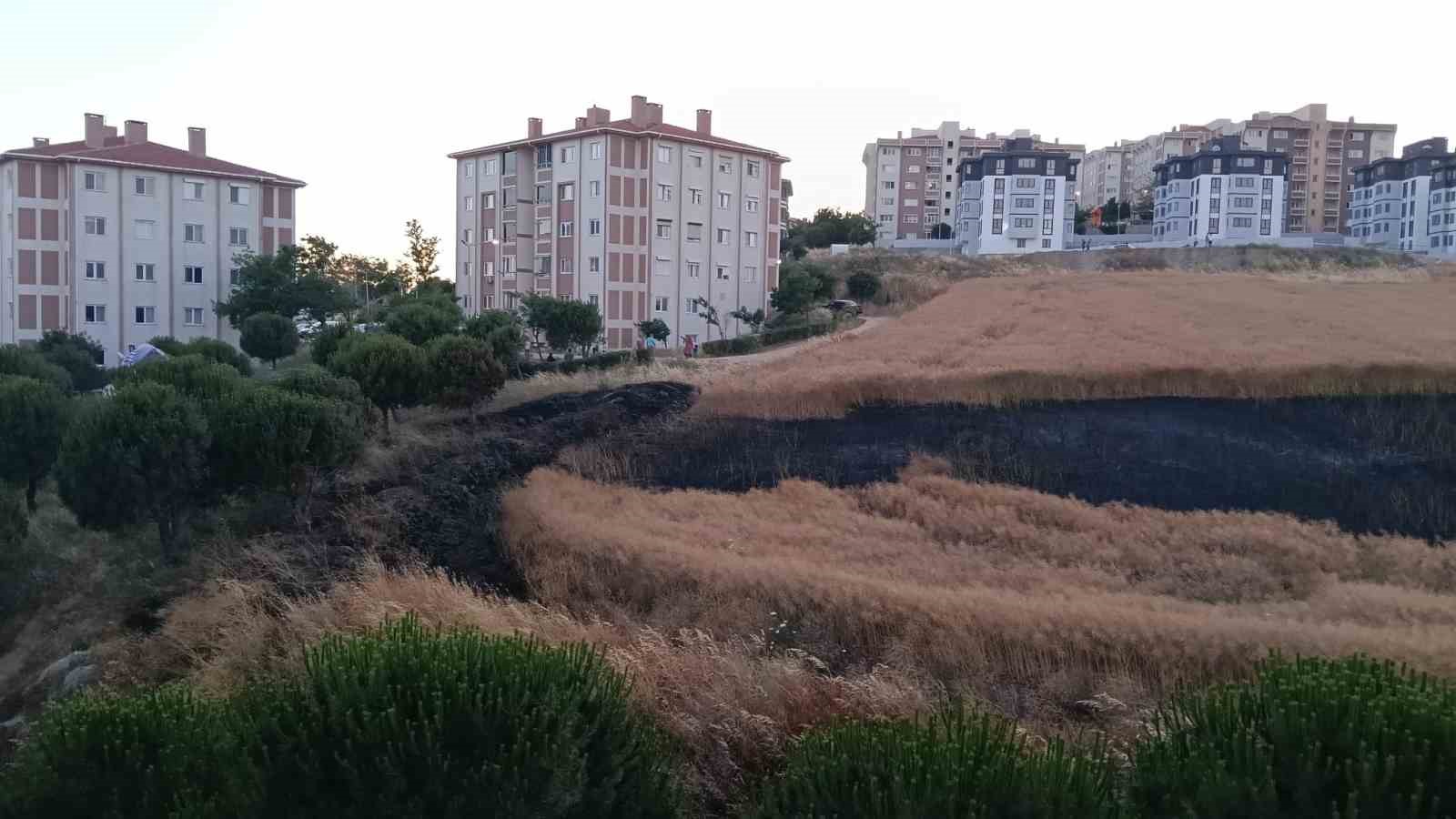 Bandırma’da buğday tarlası yangını korkuttu