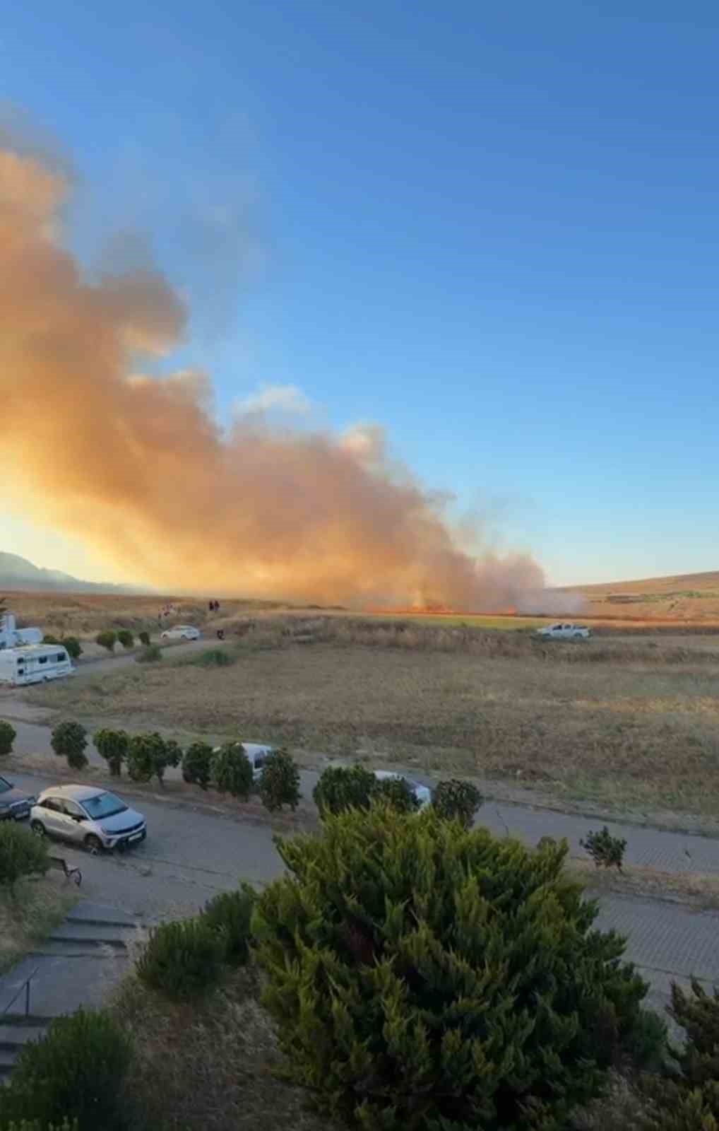 Bandırma’da buğday tarlası yangını korkuttu