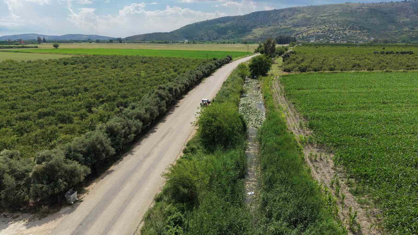 Kozan’da sarı nilüfer çiçekleri mest etti