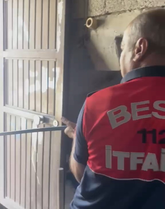 Eve giren yılan yakalanarak doğaya bırakıldı