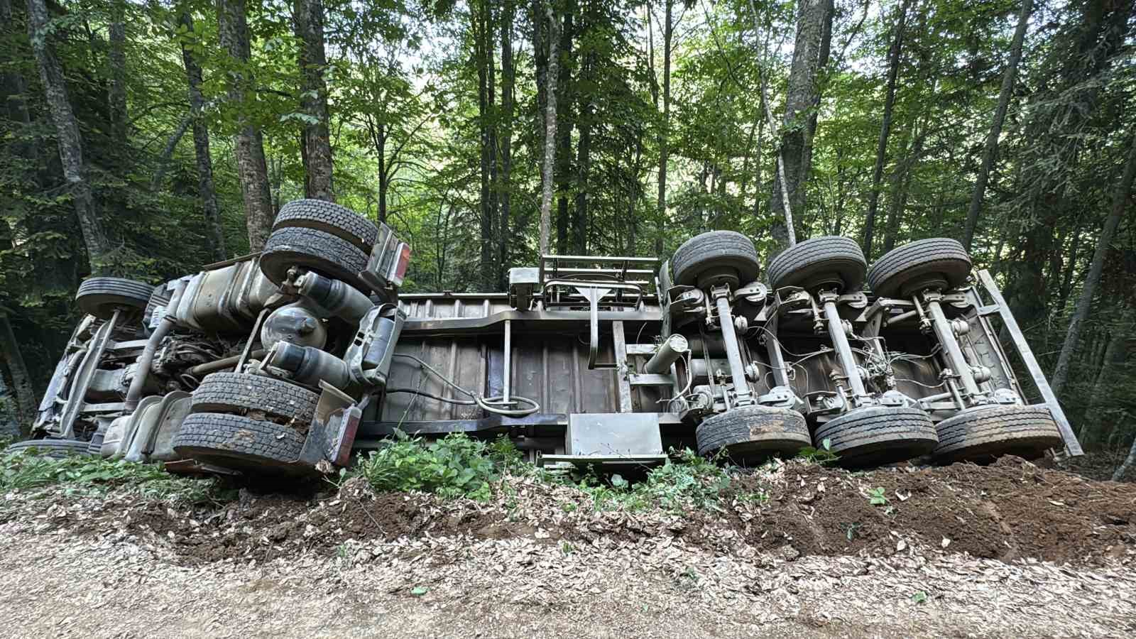 Orman yolunda şarampole devrilen kamyonun sürücüsü yaralandı