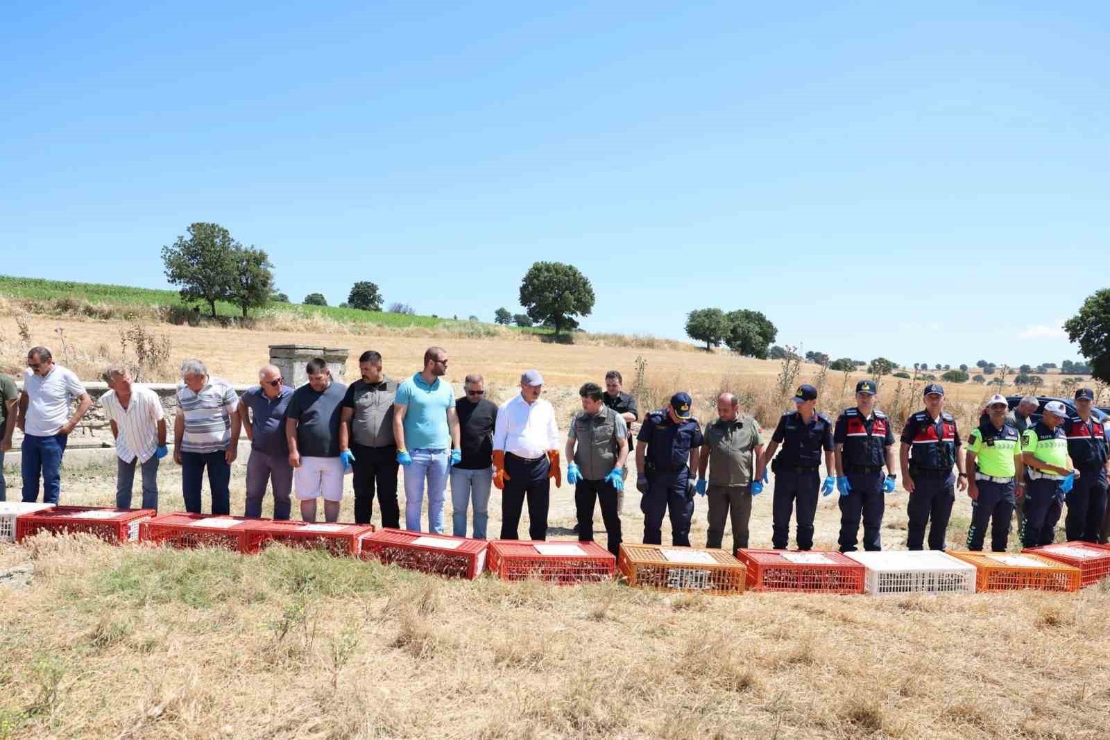 Çanakkale’de 1000 kınalı keklik doğaya salındı