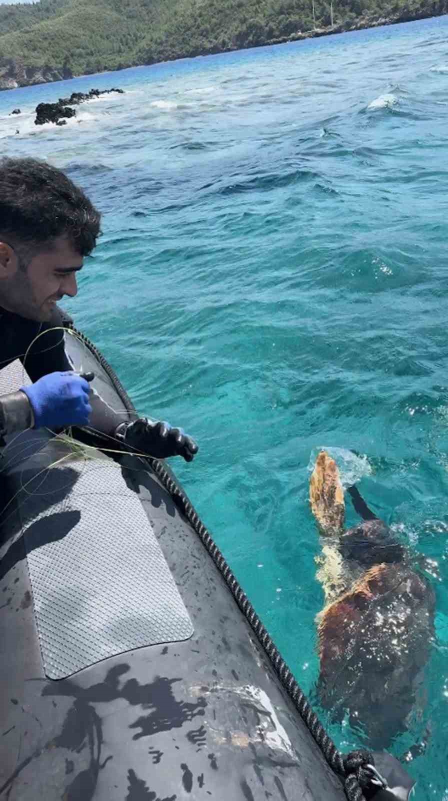 Ağa takılan deniz kaplumbağasını dernek görevlileri kurtardı
