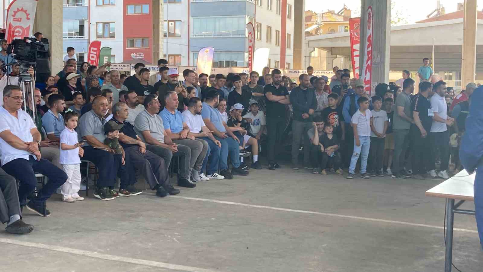 Otuz buzağı arasından en güzeli seçildi