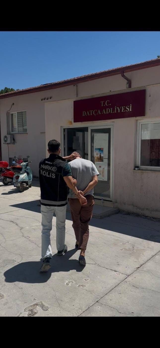 Datça’da uyuşturucu operasyonu: 200 kök Hint keneviri ele geçirildi, 1 tutuklama
