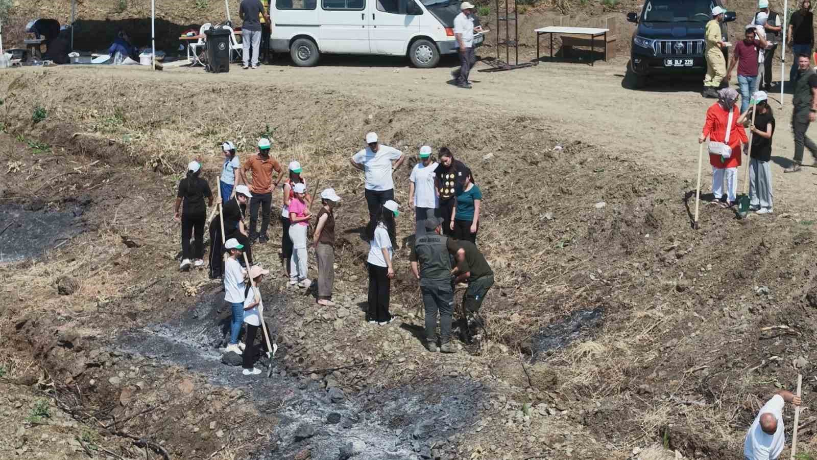 Orman yangınından zarar gören alana fidan ekildi