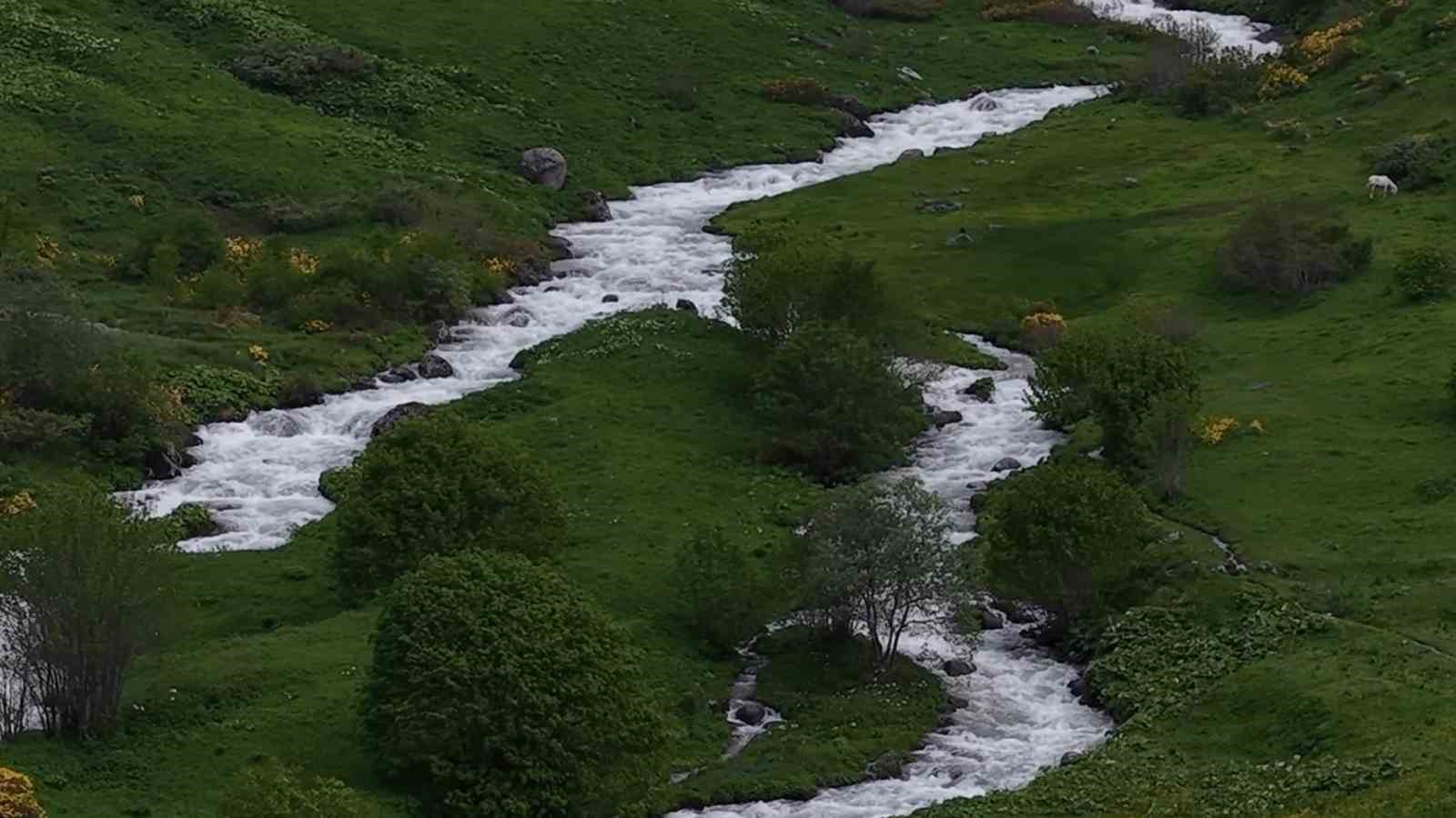 Beyaz örtü kalktı, Rize yaylaları yeşile büründü