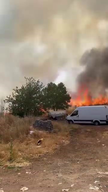 Diyarbakır’da korkutan yangın: Yüzlerce dönüm alan alevlere teslim oldu