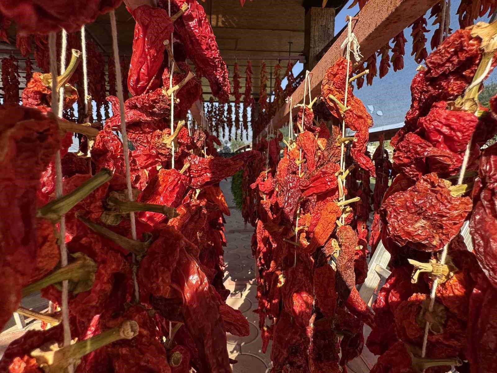 Tescilli Kale Biberi tatar ve cips olarak damakları şenlendiriyor