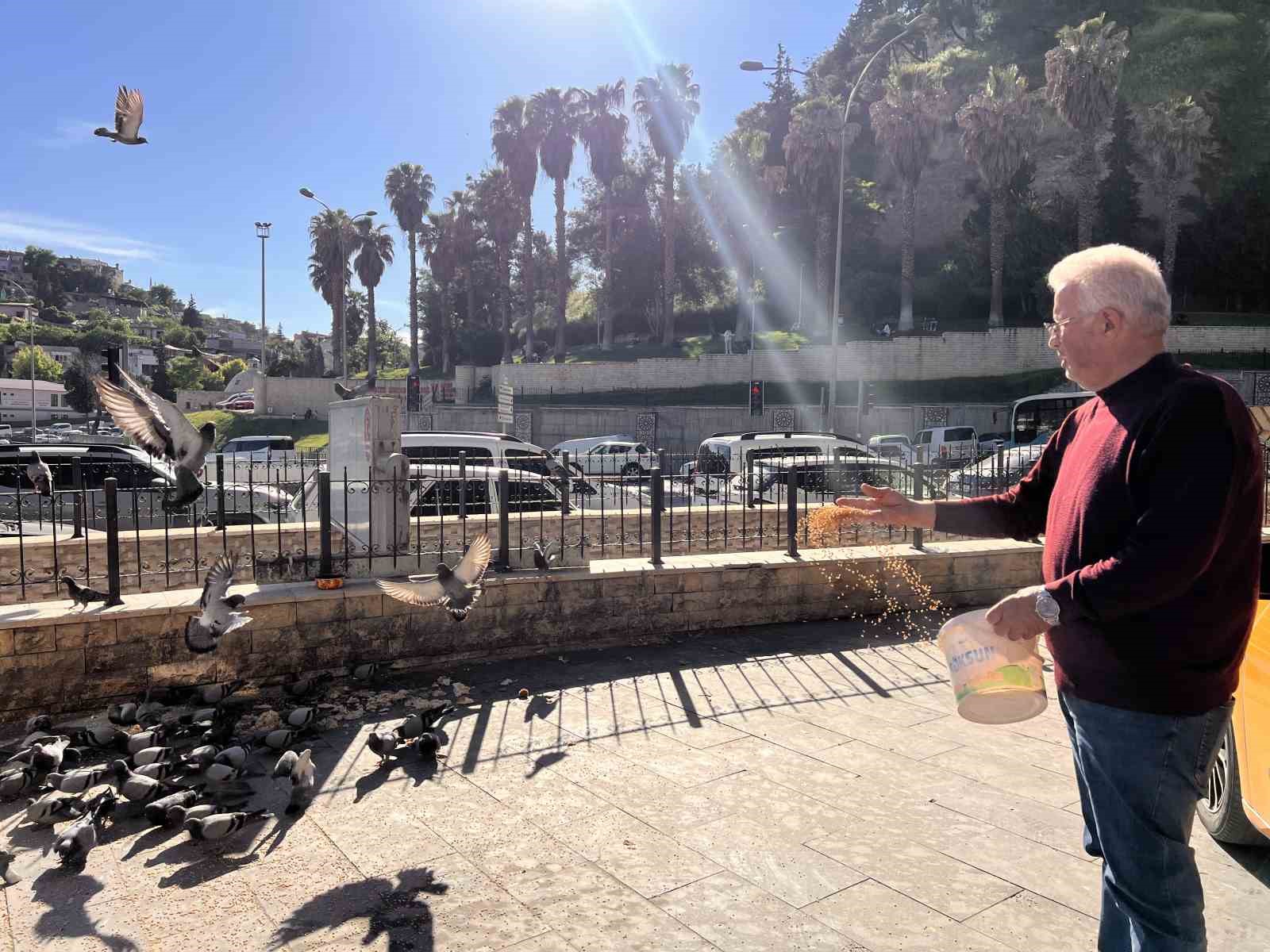 Kahramanmaraş’ta taksici esnafının yol arkadaşı güvercinler