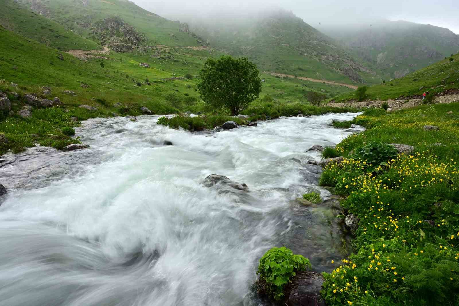 Alpleri andıran manzarasıyla Dulağa Yaylası baharın renklerine büründü