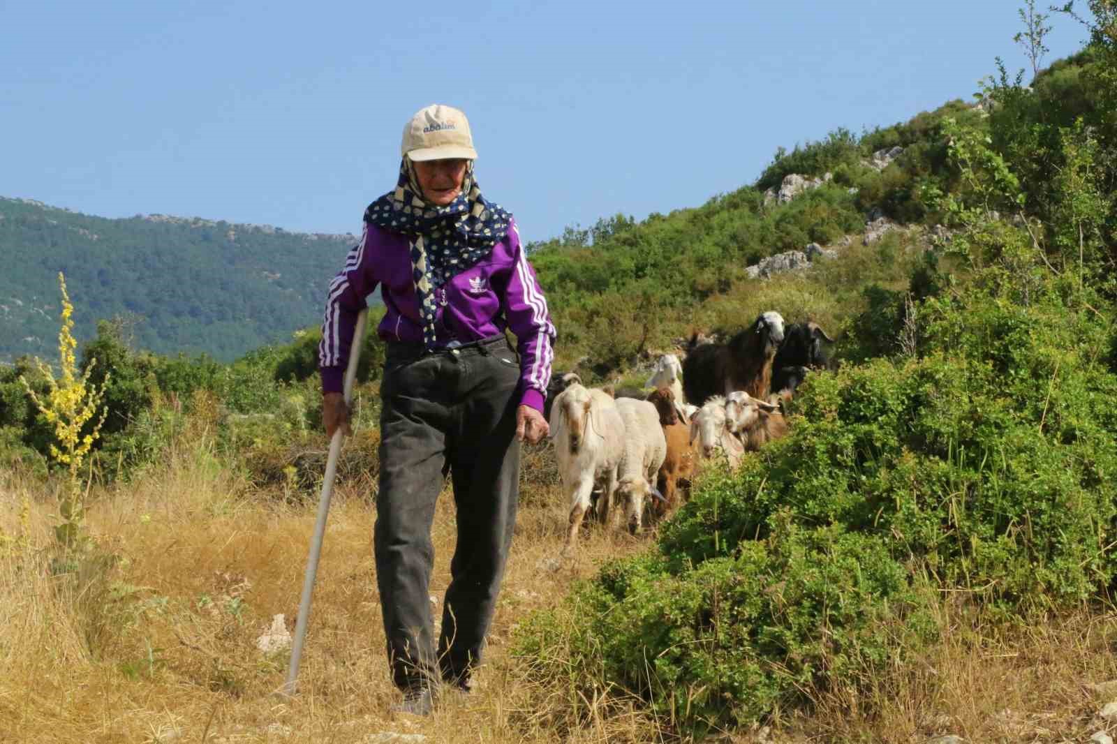 Antalya’nın süper çobanı Emine Nine: 94 yaşında, 90 yıldır keçileriyle dağlarda