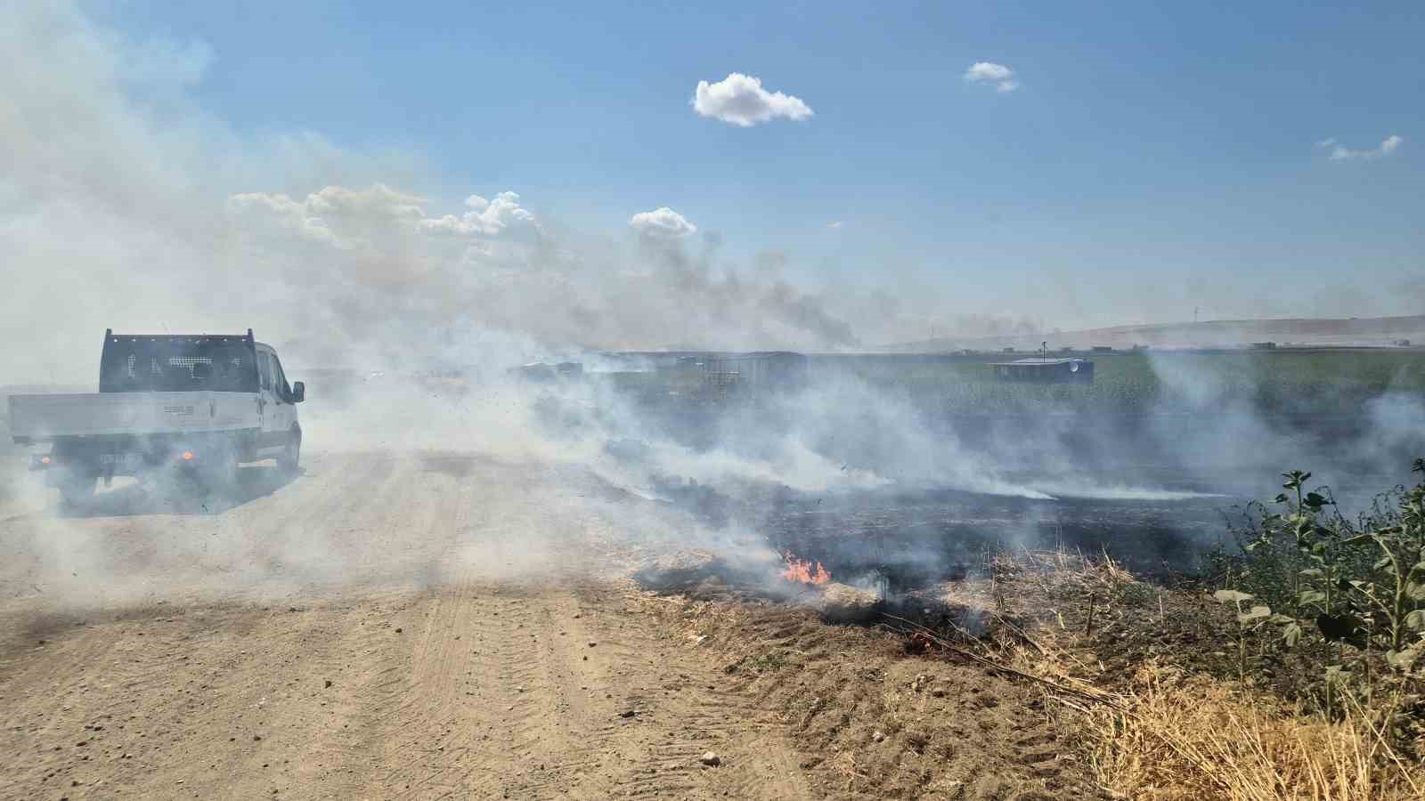 Tekirdağ’da 2 farklı noktada çıkan yangın söndürüldü: 700 dönümlük alan ve 20 konteyner kül oldu