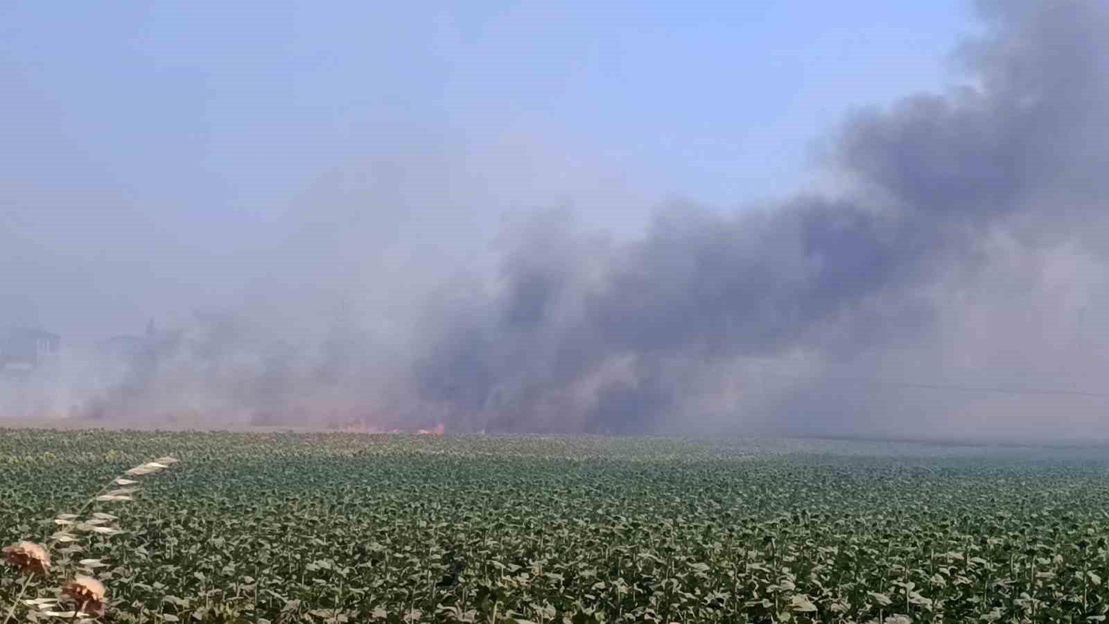 Tekirdağ’da tarım arazisinde başlayan yangın: Alevler 4 farklı noktaya sıçradı