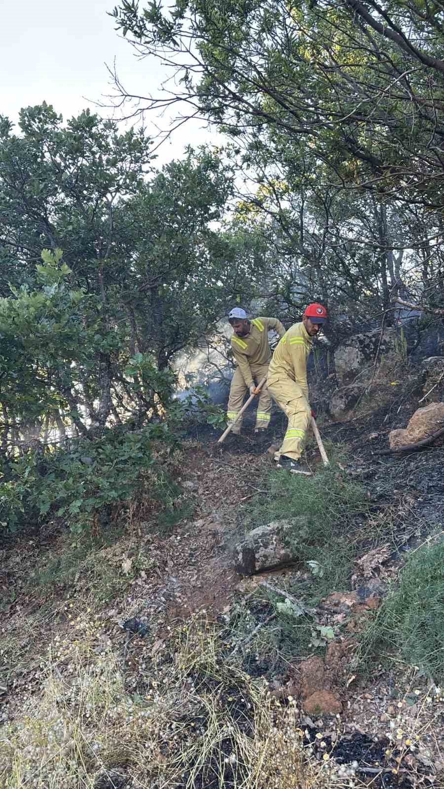 Bingöl’de çıkan orman yangını büyümeden kontrol altına alındı