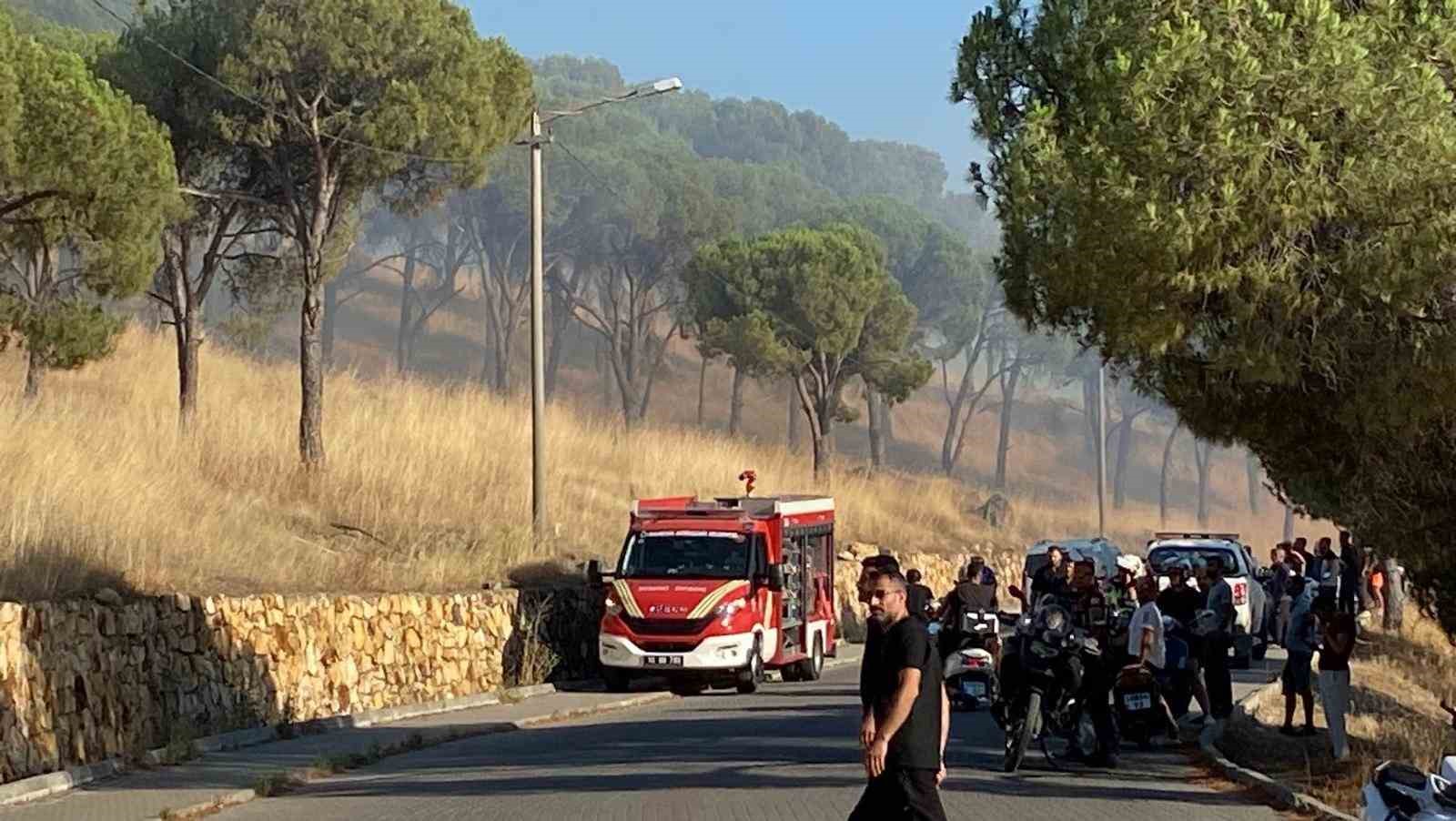 Balıkesir Ayvalık’ta çıkan örtü yangınına müdahale ediliyor