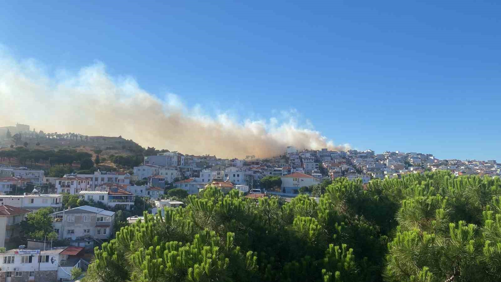 Balıkesir Ayvalık’ta çıkan örtü yangını kontrol altına alındı