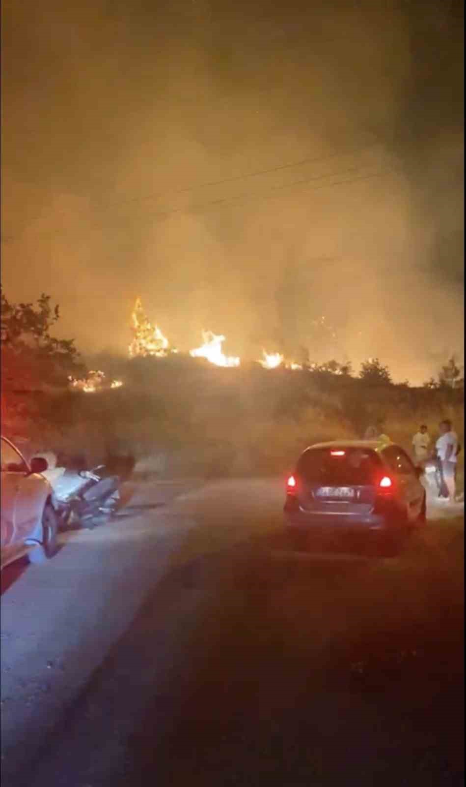 Cunda Adası’ndaki orman yangını kontrol altına alındı