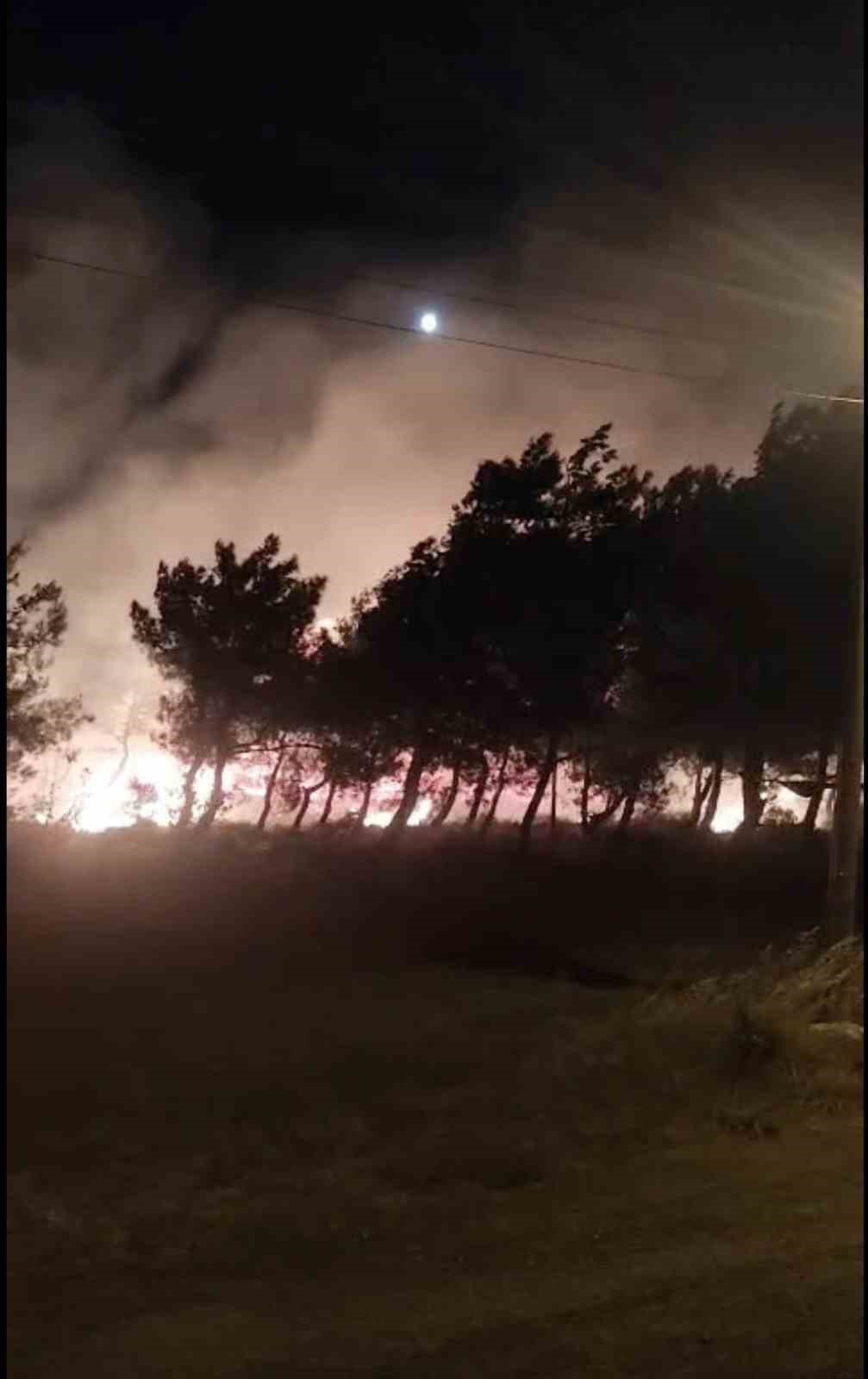 Cunda Adası’ndaki orman yangını kontrol altına alındı