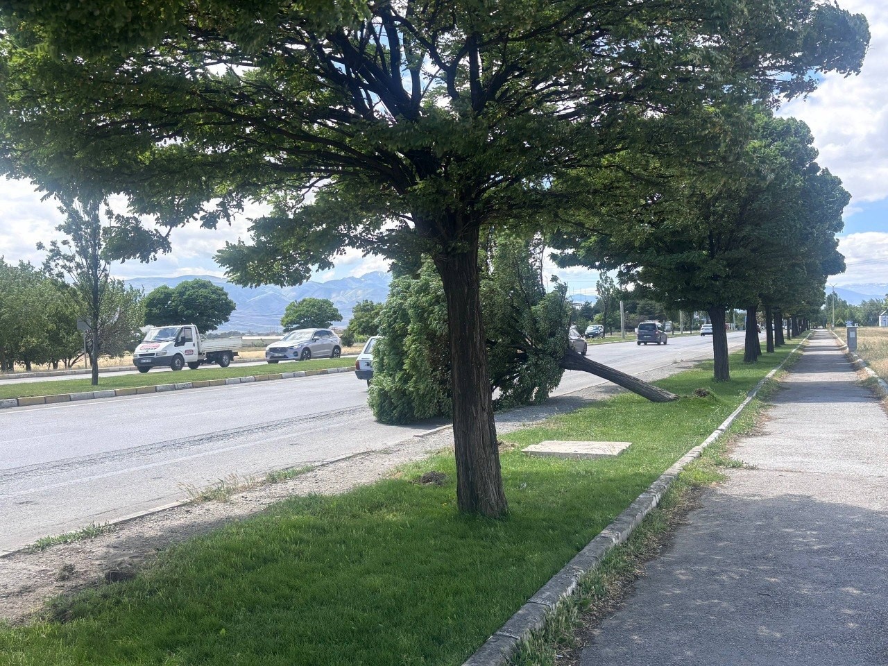 Erzincan’da şiddetli rüzgardan ağaçlar devrildi, çatılar uçtu