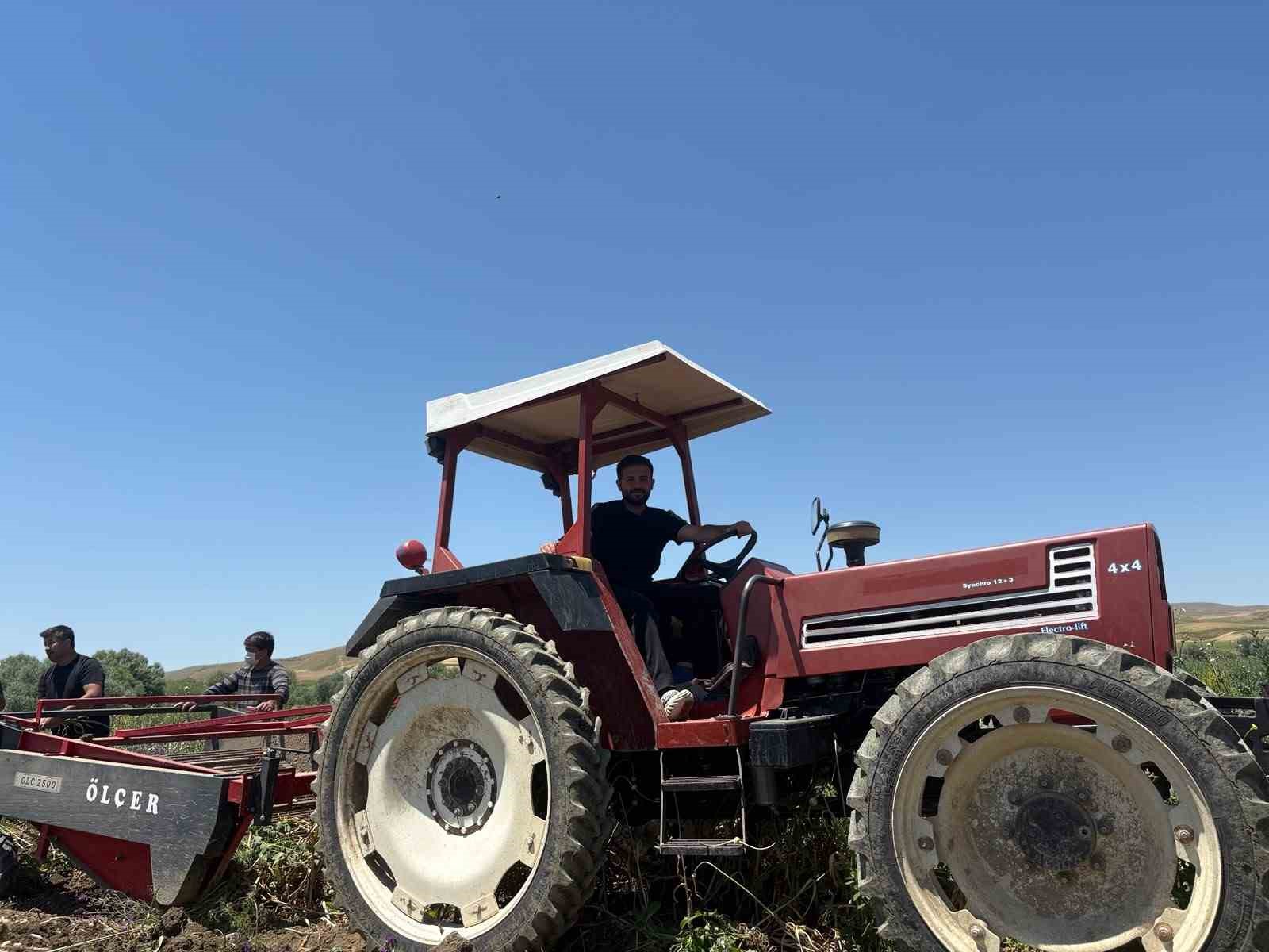 Başkentte alternatif tarımın yeni ürünü: İlk kez yetiştirilen sarımsakta 350 tonluk rekolte