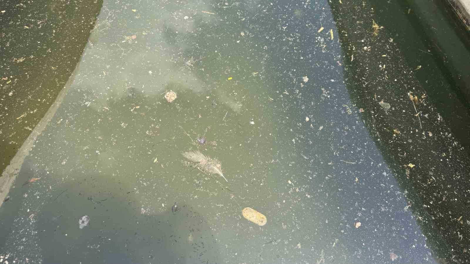 Adana’da Seyhan Nehri ve çevresindeki kirliliğe vatandaştan tepki
