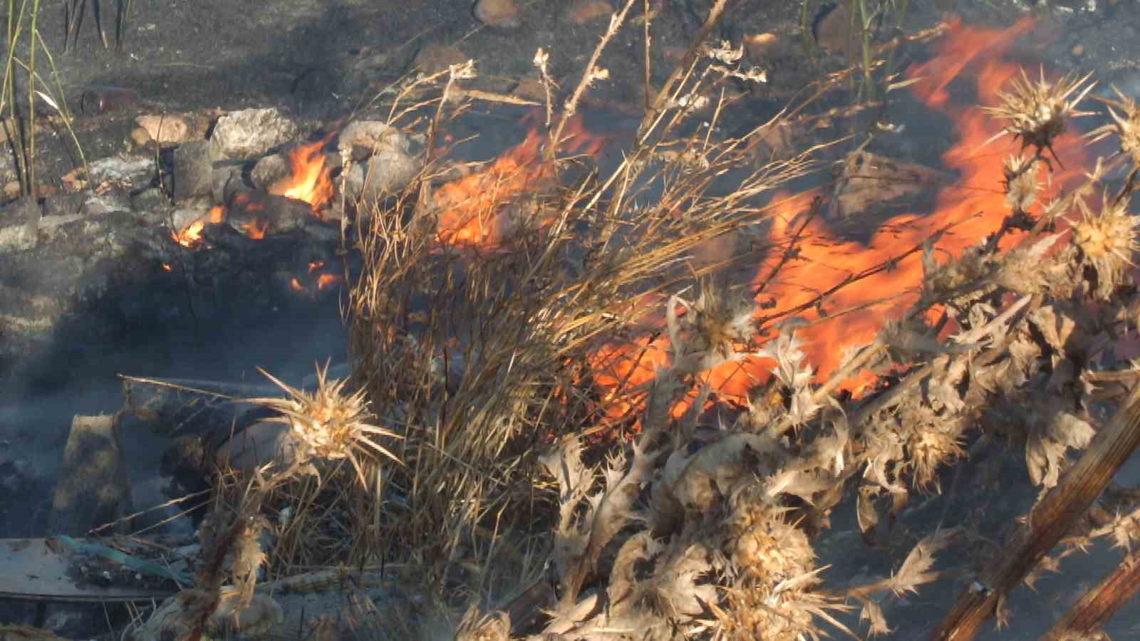 Burhaniye’de Karınca Deresinde çıkan ot yangını 3 saatte söndürüldü