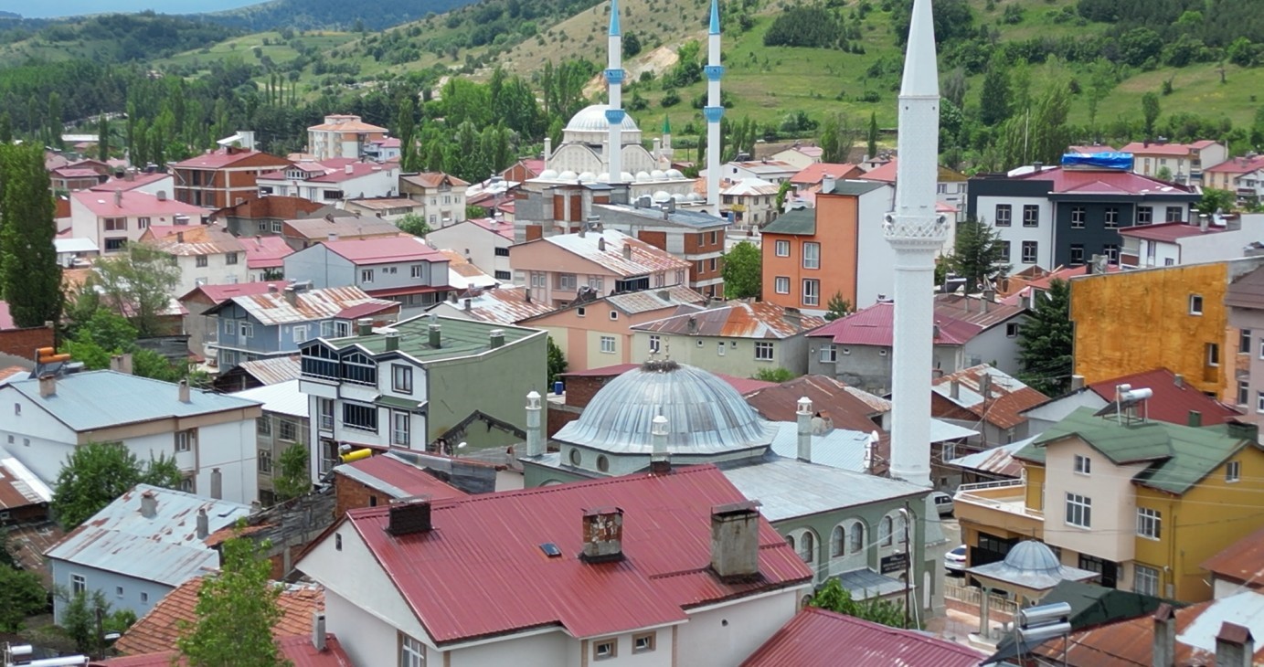 25 yıl sonra ilçeye gelen leylek ailesinde 1 yavru sağ kalabildi