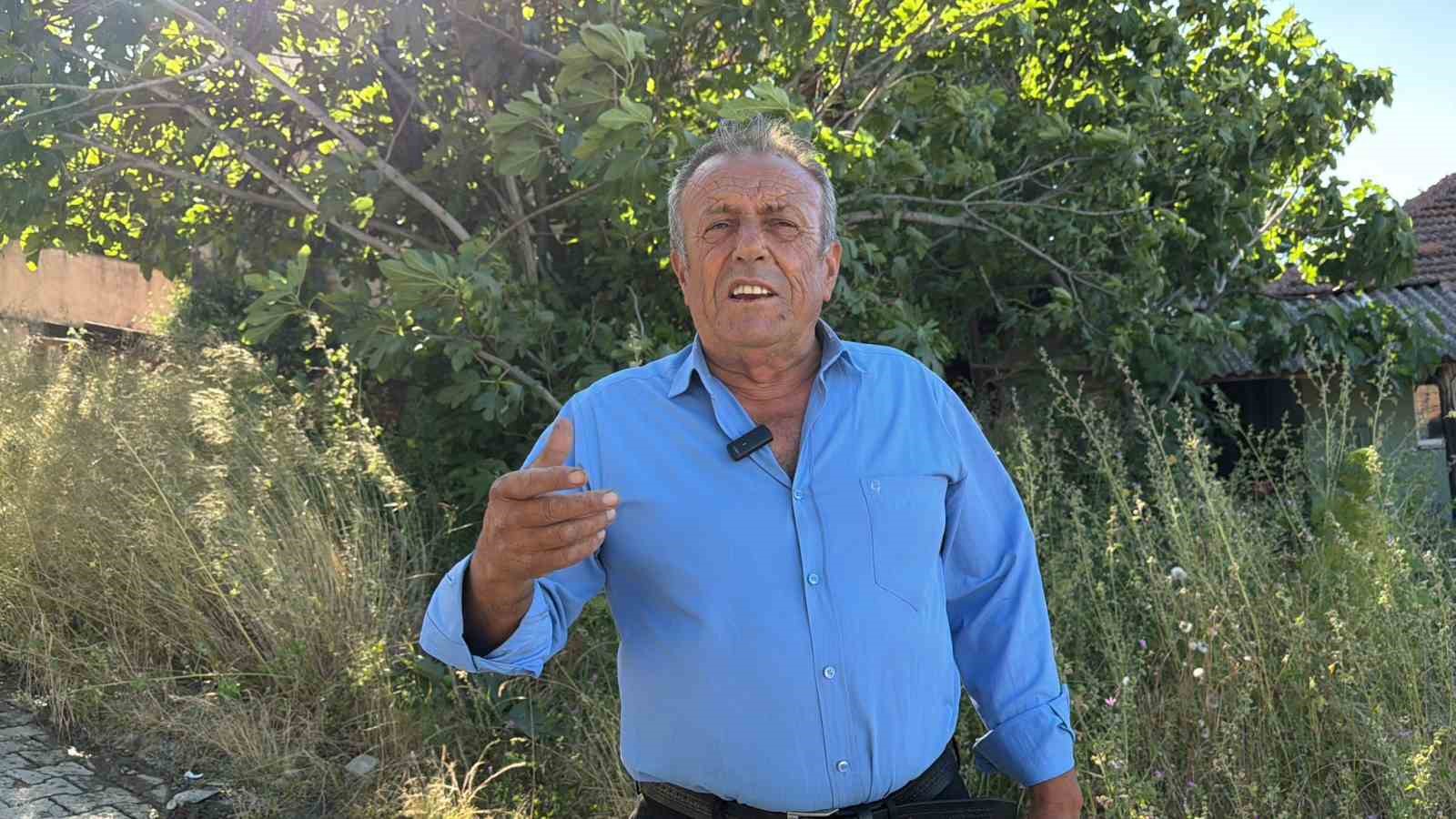 Yalova Dereköy’de ’Kırmızı Altın’ hesadı başladı
