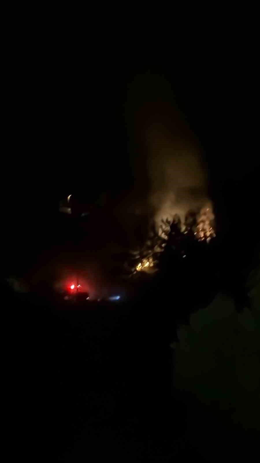 Ormanlık alandaki yangın büyümeden söndürüldü