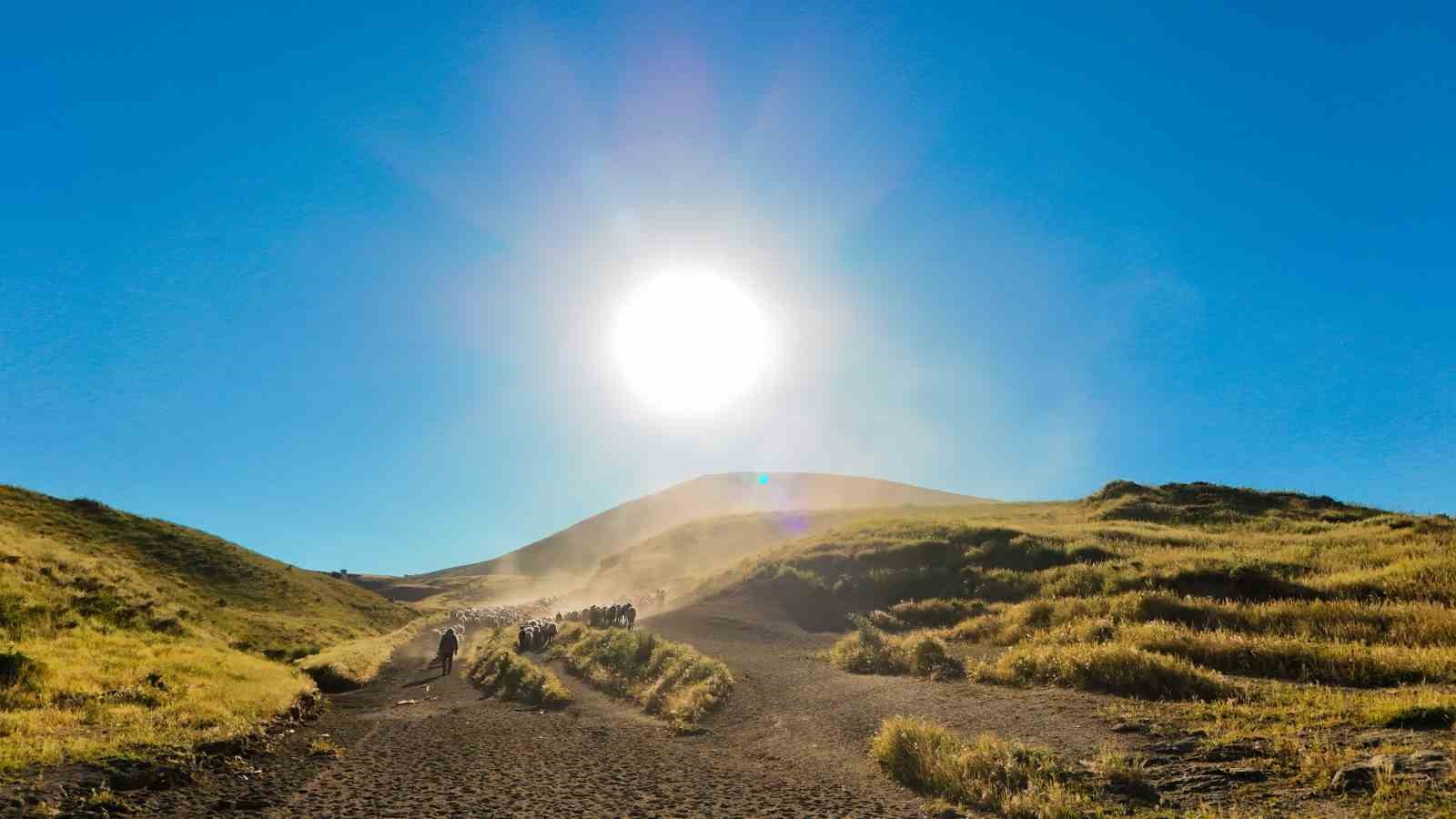 Tatvan’da sürülerin tozlu yayla yolculuğu eşsiz manzaralar oluşturdu