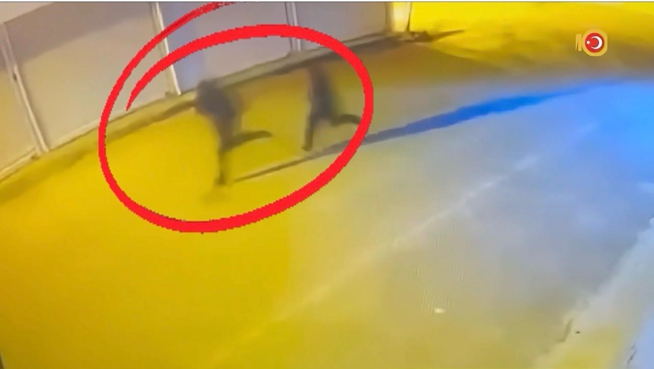 Diyarbakır’da silahlı suç örgütü şebekesi çökertildi: 40 gözaltı