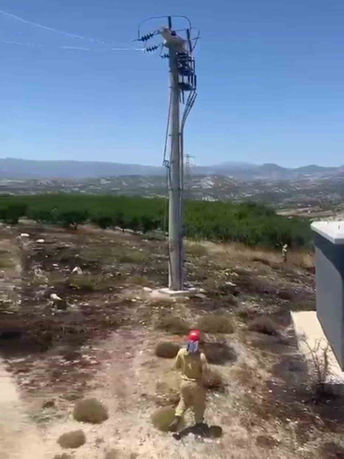 Mersin’de 6 dekar bahçe yangında zarar gördü
