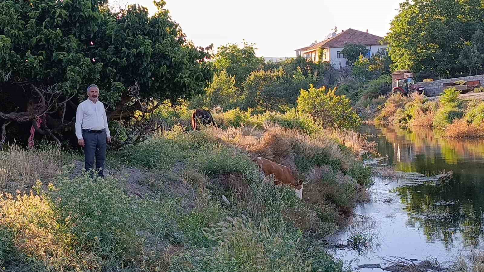 Çekerek Süreyya Bey Barajı’nda doluluk oranı yüzde 100’ün üzerine çıktığı için köyü yılanlar bastı