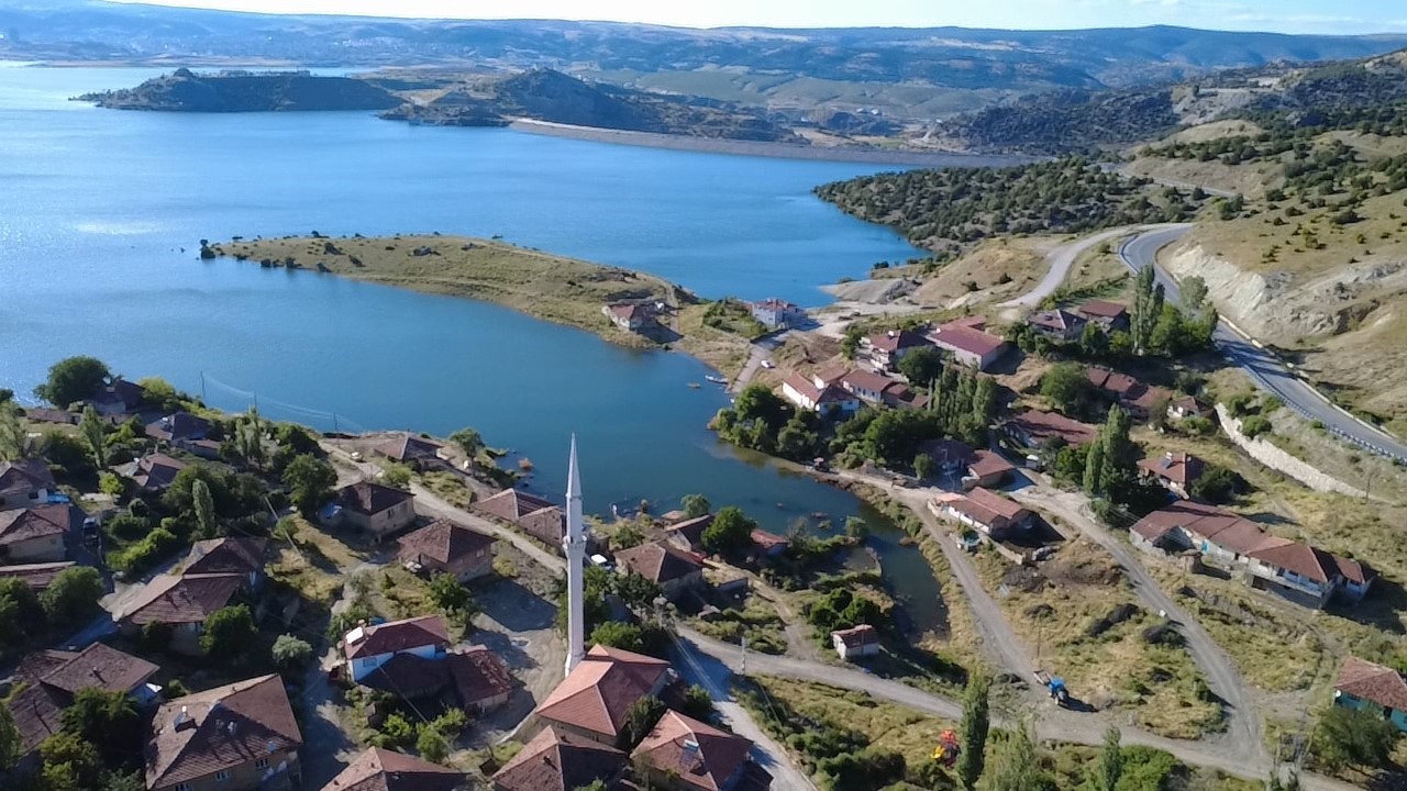 Çekerek Süreyya Bey Barajı’nda doluluk oranı yüzde 100’ün üzerine çıktığı için köyü yılanlar bastı
