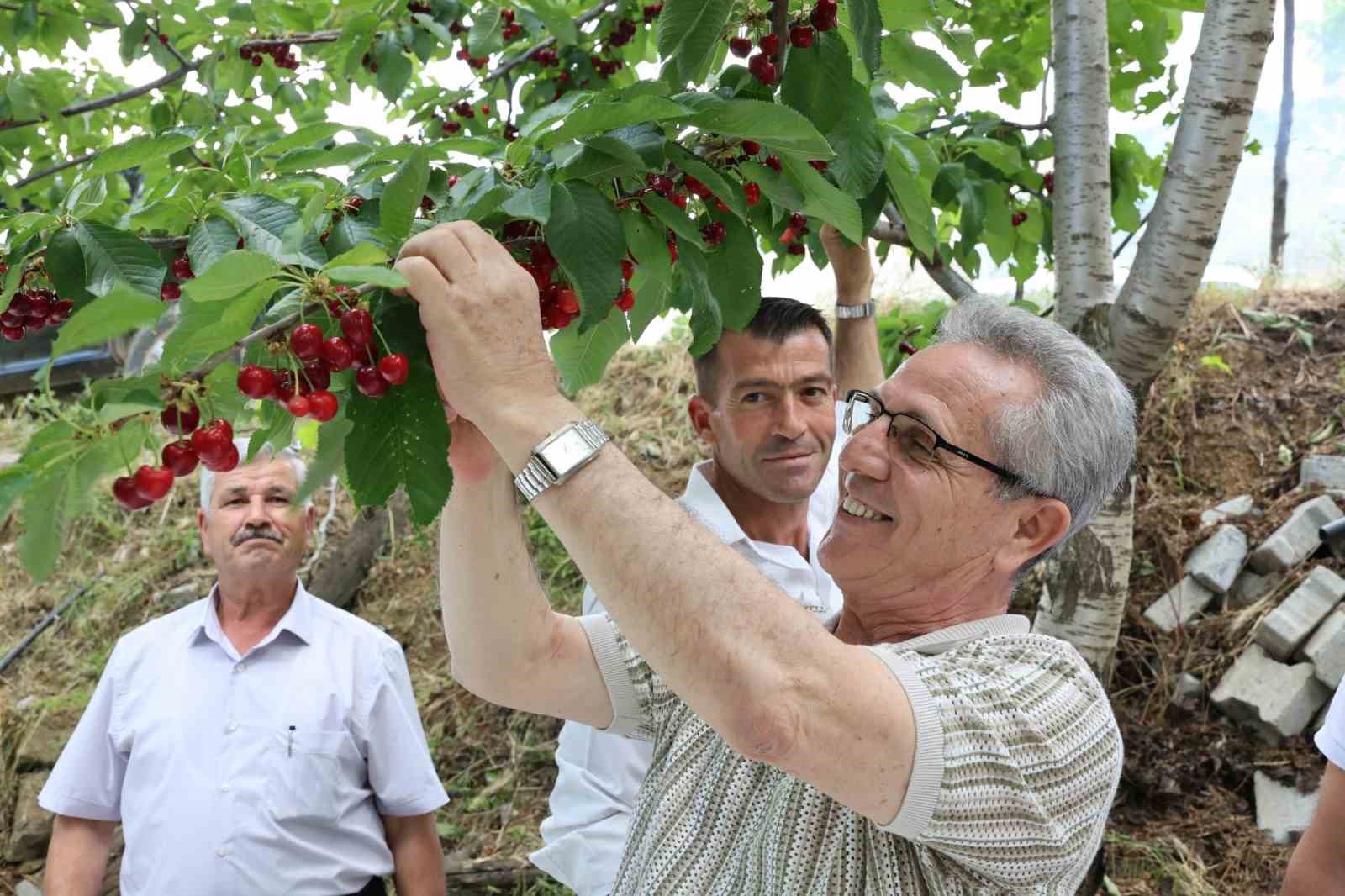 Başkan Tetik: "Hizmet atağı merkezden köylere yayılıyor"